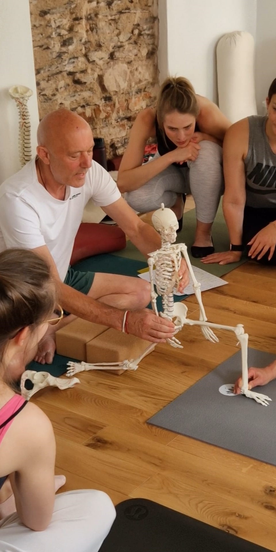 yogatherapie live ausbildung mit anatomie christoph kraft